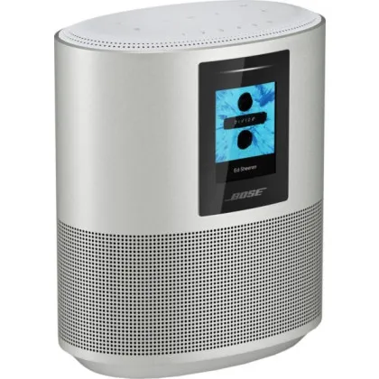 Акустика Bose Home Speaker 500 (Silver)