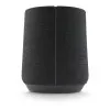 Harman / Kardon Citation 300 (Black)