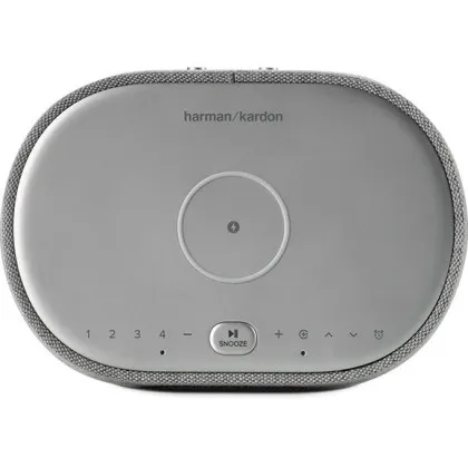 Акустика Harman Kardon Citation Oasis FM (Gray)