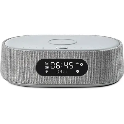 Акустика Harman Kardon Citation Oasis FM (Gray)