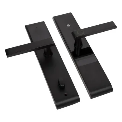 Смарт замок TTLOCK MAX (Black)