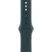 Ремешок Apple Sport Band для Watch 40mm (Lake Green) (M/L) (MAX64)