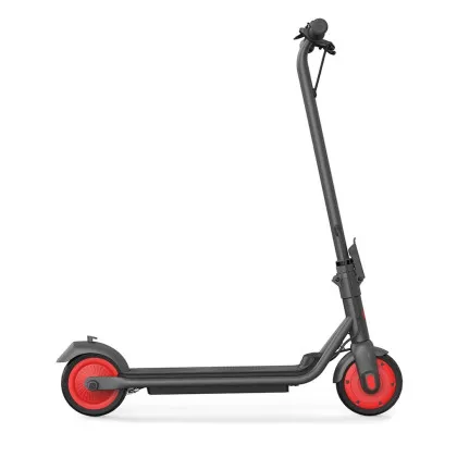 Електросамокат Ninebot by Segway eKickScooter ZING C20 (Black)