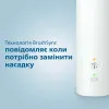 Зубна електрощітка Philips Sonicare 3100 series (White)